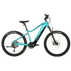 SWAN GENT 27,5", BAFANG M300, M:2025-2