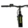 SWAN 29" PÁNSKÝ
