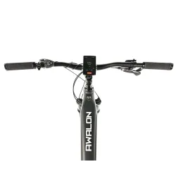AWALON 29" PÁNSKÝ