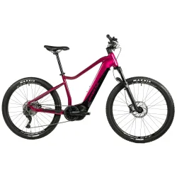 OREM 29"