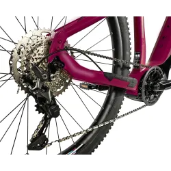OREM 29"