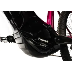 OREM 29"